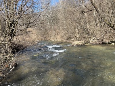 IMG_5611.jpeg