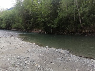 IMG_20260506_153826.jpg