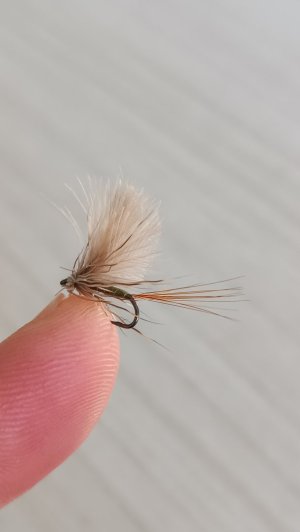 1000026959.jpg 1000026959.jpg