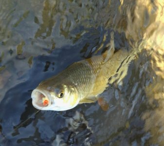 20260801_115837.jpg