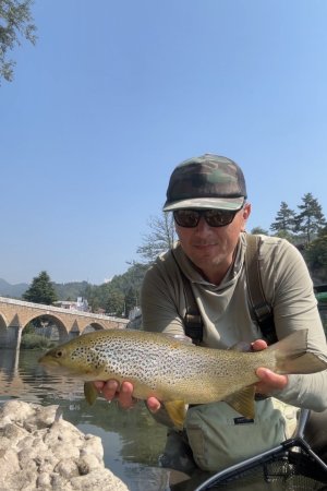 IMG_8865.jpeg