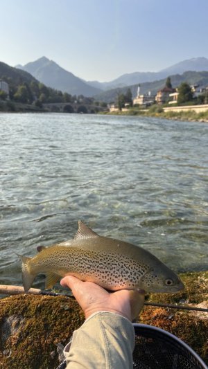 IMG_8834.jpeg