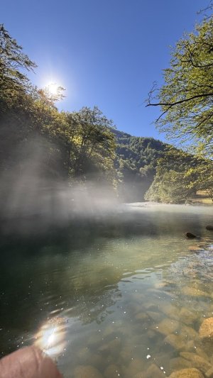 IMG_8979.jpeg