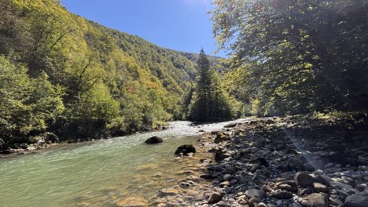 IMG_9003.jpeg