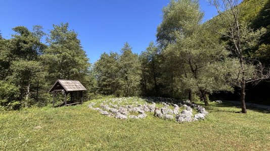 IMG_9006.jpeg
