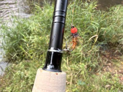IMG_1129.jpeg