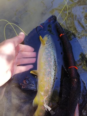 IMG_20260919_130729.jpg