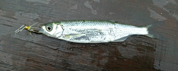 20261030_123734.jpg