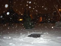 snijeg 1.jpg