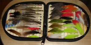 cd fly- box.jpg