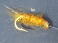 S5030220.jpg