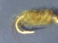 S5030221.jpg