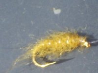 S5030222.jpg