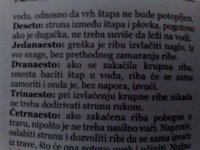 Savet.jpg