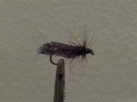 X materijal caddis 2.jpg
