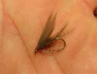 March Brown Wet.jpg