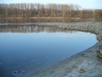 Dunav Niag (Medium).JPG