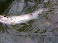 01032009370 [].jpg