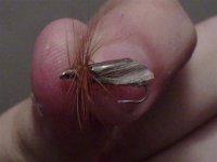 Armirani Caddis.jpg