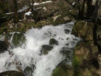 izvor Grze (Small).jpg