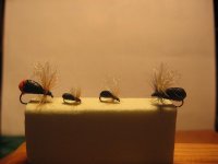 IMG_7118 (Medium).jpg
