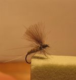 IMG_7128 (Medium).jpg