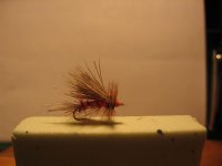 IMG_7108 (Medium).jpg