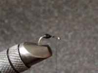 Korak 2 (Small).jpg