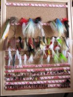 flies 020 (Medium).jpg