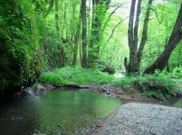 IMG_0011.jpg