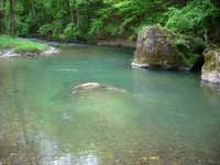 IMG_0014.jpg