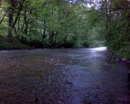 DSC00004.jpg