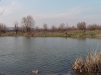 DSC08110.jpg