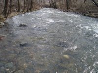 Picture3 950970261_resize.jpg