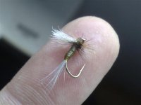 vinyl bwo.jpg