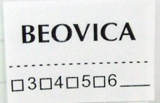 Beovica1.JPG
