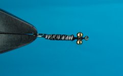 skelet2.jpg