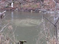 IMG_1770.jpg