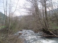 114.jpg