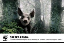 srpska_panda.jpg
