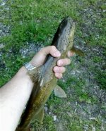 big mama (Small).jpg