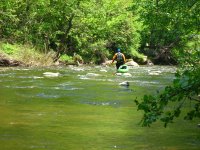 IMG_0003.jpg