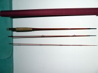 swell310.jpg