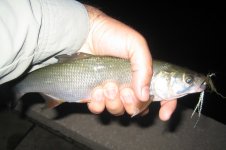 IMG_0021_cr.jpg