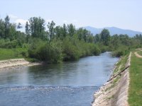 IMG_7925.JPG