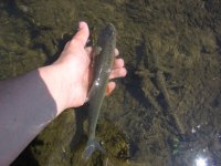 IMG_7931.JPG