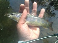 14.5.2009.jpg