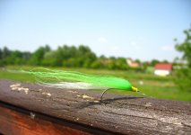 IMG_4411.jpg