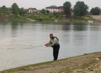 IMG_4435.jpg