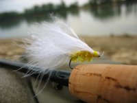 IMG_4452.jpg